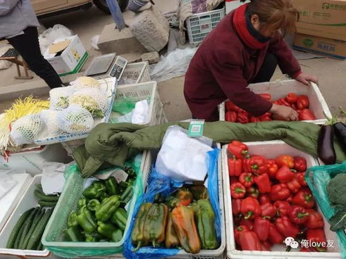 趕黃河大集，尋濟南年味——萊蕪魯西大集值得一逛